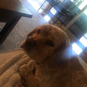 Meet your Posher, Jim